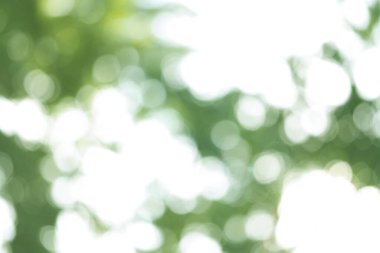 güneşli yeşil doğal bulanık bokeh ışıkları, soyut arka plan afişi güneş parlaması, rüzgarda yeşil yapraklar uçuşuyor, yaz mevsimi, iyi hava, doğal yerleştirme sunumu