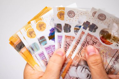 Avro tutan, avroya para yatıran, başarıya sevinen, neye harcayacağını tahmin eden, iyi mali davranışı teşvik eden, ekonomik farkındalık, para yönetimi 