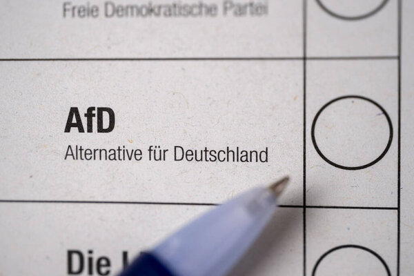 бюллетень для голосования на федеральных выборах в Германии, маркировка бюллетеня для голосования за партию AfD, избирательная целостность, демократический процесс и право голоса граждан, политический выбор в Германии, Франкфурт - 6 февраля 2025 года