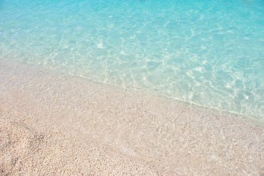 Gallinula kloropus sazlık su ördeği, bataklık ördeği, güvercin büyüklüğünde kara kuş doğal habitat, kuşbilim, kuşlar, doğal yaşam alanları ılıman Avrupa, doğa koruması 