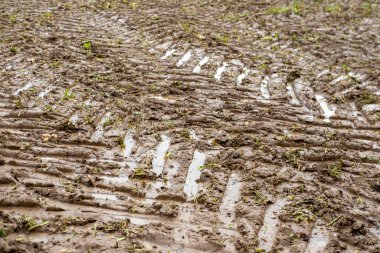 Şiddetli yağmur ve eriyen kardan sonra çamurlu yollarda lastik izleri, ıslak, çamurlu çamurlu arazide lastik izleri, off-road ortamının zorlukları.