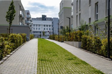 Avrupa 'da çok katlı evler, modern apartman kompleksi yemyeşil, yan yana gelen doğa ve modern apartmanda ağaçlarla çevrili kentsel yaşam.