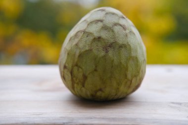 Çiğ ahtapot dokunaçları, deniz sefalopodu, deniz ürünleri dokusu, kromatofor makro görünümü, vakum kapları detayı, deniz mutfağı, egzotik yiyecekler, yakın plan, egzotik aşçılık kavramı. 