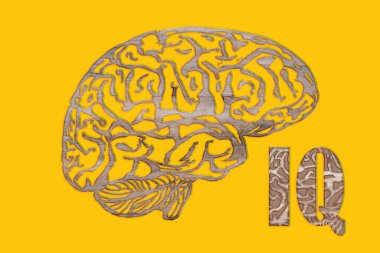 Siluet beyin, kelime IQ, ahşap harfler, ahşap arka planda zeka oranı, başarıyı ifade eden nicel bilim göstergesi, konsept fikri, düzey zihin, entelektüel başarıları test eden