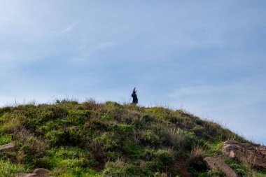 Mutlu genç çocuk volkanik uçurum kenarında duruyor, Madeira adasında yürüyüş yapıyor, sonsuz mavi Atlantik okyanusuna bakıyor, okyanus kıyısında dinlendirici yürüyüşün tadını çıkarıyor.