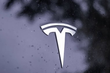 Gümüş kaput üzerine krom kaplama Logo Tesla Motors, Elon Musk elektrikli araba, Amerikan şirketi, elektrikli araç üretimi, çağdaş Avrupa, Frankfurt, Almanya 'da EV eğilimleri - 28 Haziran 2024