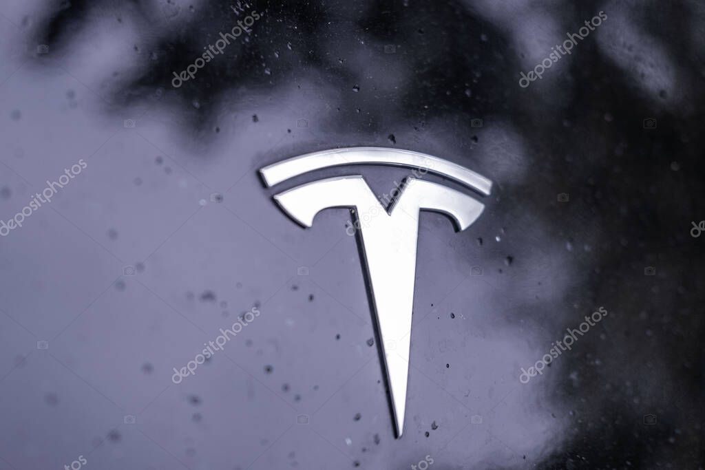 Closeup chromium-plated Logo Tesla Motors on silver hood, Elon Musk electric car, American company, electric vehicle production, trends EV in contemporary Europe, Frankfurt, Germany - June 28, 2024