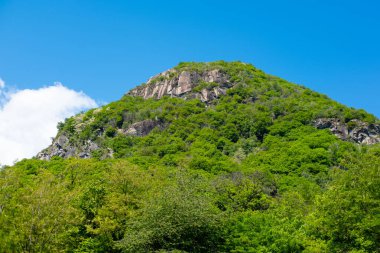 Yumuşak çamurda ayak izi ve lastik izi çamurlu yolda izler, doğal yoldaki kanıt geçidi macera başlıyor desenli çamur, açık hava aktivitesi. 