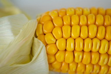 Yumuşak çamurda ayak izi ve lastik izi çamurlu yolda izler, doğal yoldaki kanıt geçidi macera başlıyor desenli çamur, açık hava aktivitesi. 