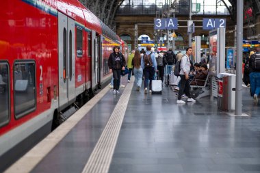 Genç çocuk, Pokmon kart albümüne göz atan çocuk koleksiyoncusu oyun kartları tutuyor, heyecan ticareti ve koleksiyon, çocukluk koleksiyonu, Pokemon Fan Culture, Frankfurt - 18 Ekim 2024 