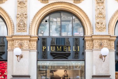 Atılmış büyük piller, uygun pil geri dönüşümü ve imhası, sorunlu elektronik atıkların vurgulanması, atık güç hücreleri, çevresel kaygılar, Yeşil Girişim, Frankfurt, Almanya - 4 Temmuz 2025 