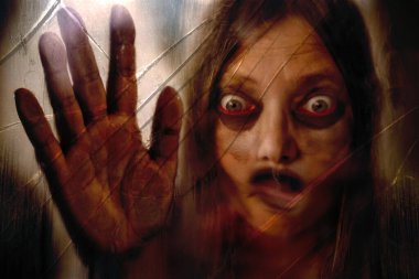 Sisli camın, canavarın, hayaletin, korkutucu rüyanın, Cadılar Bayramı 'nın ya da kâbusun, Gotik ya da doğaüstü temanın, içsel iblislerin, korku ve çılgınlığın, panik ve doğaüstü tehlikenin arkasındaki çarpık korku yüzü.