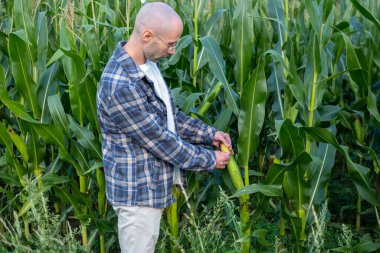 Doğada huzurlu bir anın tadını çıkaran bir adam sonbaharda günlük kıyafetlerini giyer, doğa düzeninde modaya uygun erkek modeller, kırsal alanda yürüyüş veya yürüyüş yapar, modern yaşam tarzı portreleri çizer. 