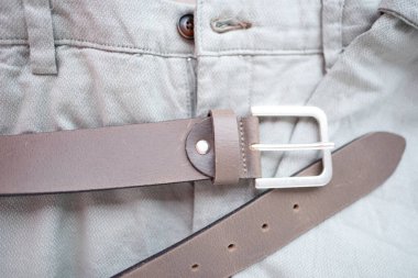 Vahşi Kanada kazları huzurlu bir şekilde gölette yüzer, yumuşak güneş ışığıyla yıkanır, göç eden kazlar, tüylü arkadaşlar, kuş gözlemcileri, su habitatları, gölette yüzerler. 