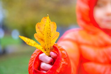 Parlak sarı ağaç yapraklı kadın çocuk eli, sonbahar mevsimi havası, turuncu ceketli genç kız, sonbahar yeşilliği, çevre güzelliği, sıcak tonlar, botanik doğa konsepti, mevsimsel değişim