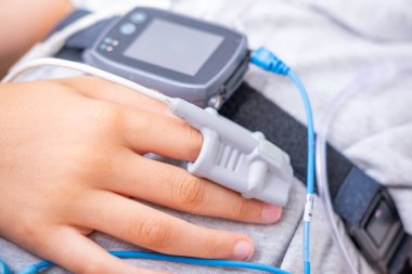 Parlak portakal yaprağı olan kadın eli, sonbahar mevsimi havası, ılık doğal renkler, güz yaprakları, çevre güzelliği, çevre, sıcak tonlar, botanik doğa konsepti, mevsimsel değişim 