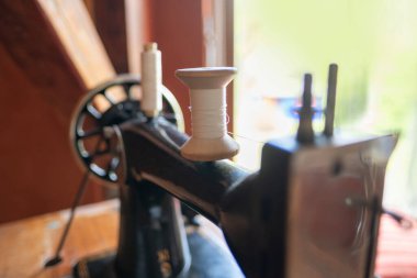 Parlak portakal yaprağı olan kadın eli, sonbahar mevsimi havası, ılık doğal renkler, güz yaprakları, çevre güzelliği, çevre, sıcak tonlar, botanik doğa konsepti, mevsimsel değişim 