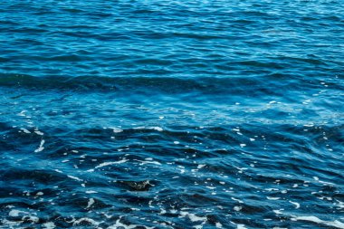 Güçlü mavi deniz, Atlantik Okyanusu dalgaları yavaşça kıyıya çarpar, sıcak Gulf Stream akıntısı, rahatlatıcı sahil manzarası, doğal enerji, deniz meltemi, su yolculuğu, yaz tatili