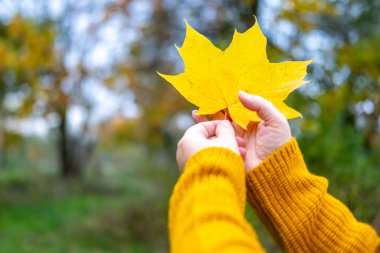Çocuğun parmakları trafoları manipülatörle hareket ettirir, tasarımcı parçalarından monte edilir, bokeh ile yeşil arka plan, iyi motor becerilerin geliştirilmesi konsepti, yaratıcılık, çocuk eğlencesi 