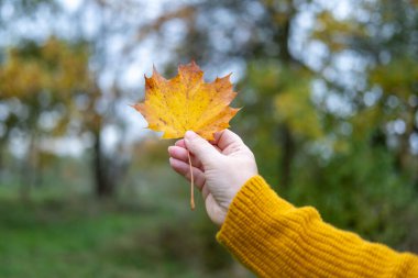 Çocuğun parmakları trafoları manipülatörle hareket ettirir, tasarımcı parçalarından monte edilir, bokeh ile yeşil arka plan, iyi motor becerilerin geliştirilmesi konsepti, yaratıcılık, çocuk eğlencesi 