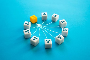 Takım liderinin takım arkadaşlarıyla bağlantısı var. Liderlik ve organizasyon becerileri. Geribildirim, astlık. Çalışanlarla bağlantı kur. Güven ilişkisi ve karşılıklı güven. İşbirliği, takım çalışması.