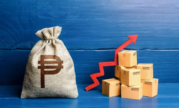 Filippinska Peso Pengar Väska Med Lådor Och Uppåtpil Inkomstökning Acceleration — Stockfoto