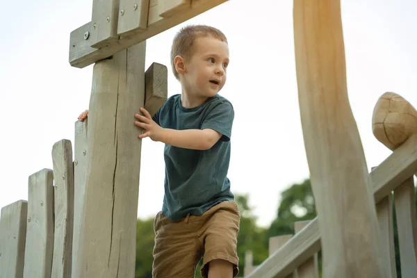 Ein Niedlicher Neugieriger Zwei Oder Dreijähriger Junge Der Draußen Auf — Stockfoto