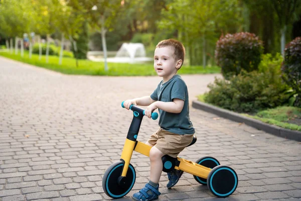 Ein Niedliches Kleinkind Von Zwei Oder Drei Jahren Fährt Einem — Stockfoto