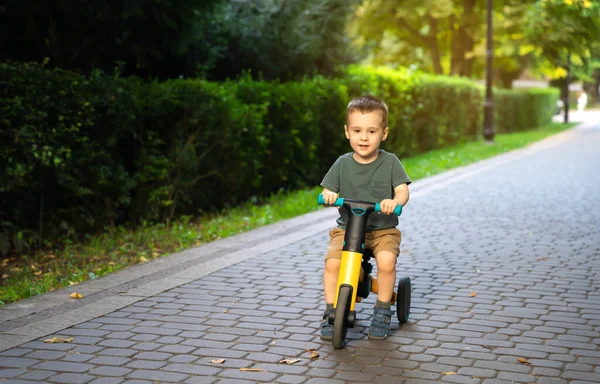 Ein Niedliches Kleinkind Von Zwei Oder Drei Jahren Fährt Einem — Stockfoto