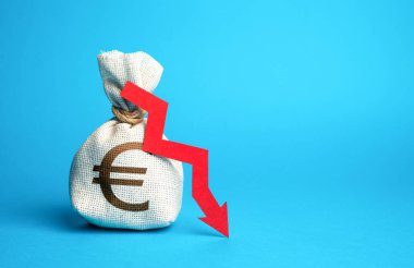 Avro tasarruflarında maliyetler ve kayıplar. Finansal yönetim becerileri ve stratejik planlama. Harcamalar, borçlar ve finansal gerilemeler.