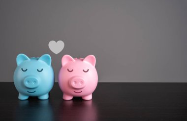 Birbirine aşık iki domuz kumbarası. Birlikte bir hayata başlama fikri ve harcamalar için ortak bir bütçe. Finansal uyum içinde bir hayat kurmak.