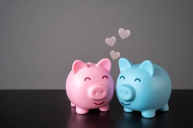 İki domuz kumbarasının aşkı. Duygusal bağ, karşılıklı bakım. Birlikte bir hayata başlama fikri ve harcamalar için ortak bir bütçe. Finansal uyum içinde bir hayat kurmak.
