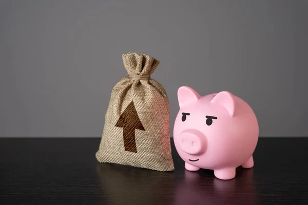 Pig piggy bank and a bag with an up arrow. Growth in profits. Career advancement, improvement and upgrade. Successful business, dynamic development. Take it to the whole new level.