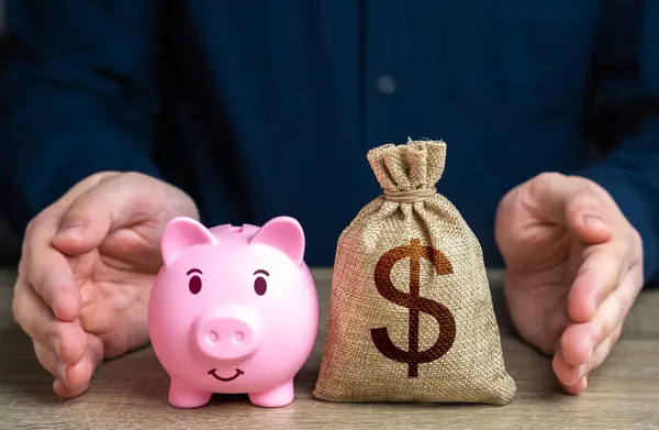 Savings are protected. Protect piggy bank and dollar money bag. Safety of investments. Retirement money funds. Stop Inflation. Secured loans and mortgages. Defense budget. Security. Social support