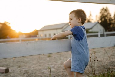 Güneşli bir yaz gününde iki ya da üç yaşındaki tatlı çocuk çitlere yaslanmış duruyor. Yaz gün batımı ışığı. At çiftliği.