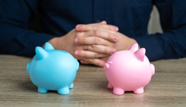 Ailede mali ahenge ulaşın. Ortak bütçesi ya da ayrı ortaklar. İpuçları ve ipuçları. Uzman görüşü. Aile bütçesi için bankacılık. Fonları böl.