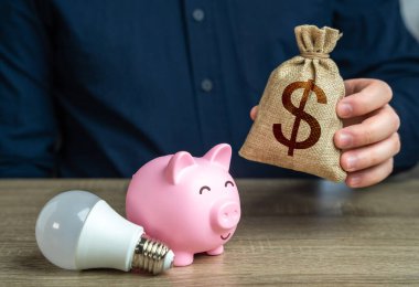 Domuz kumbarası, bir ampul ve bir dolar para çantası. Enerji verimliliği. Düşük enerji tüketimi, yüksek verimlilik. Ev faturalarını biriktiriyorum. Para biriktirmeyi..