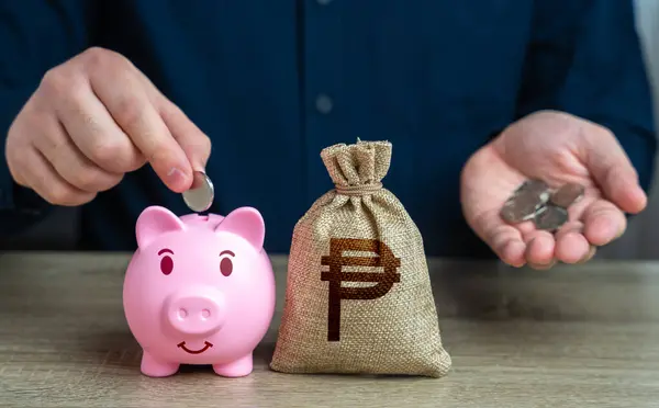 Savings management. Pig piggy bank and philippine peso money bag. Banks and finance. Savings and accumulation of funds from cutting expenses. Investments, fundraising.