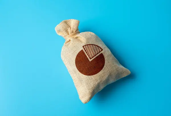 Money bag with pie chart symbol. Budget. Financial plan. Distribution of resources