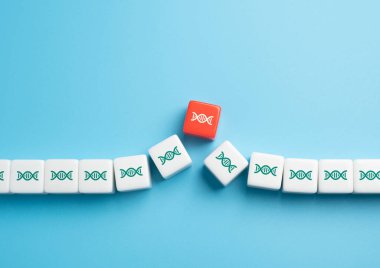 Hasarlı DNA bölgesi. Kromozomlar ve mutasyonlar üzerine çalışmalar. Olasılık ve hastalıklara yatkınlık. Babalık onayı. Hücre teknolojisinin gen terapisi modifikasyonu.