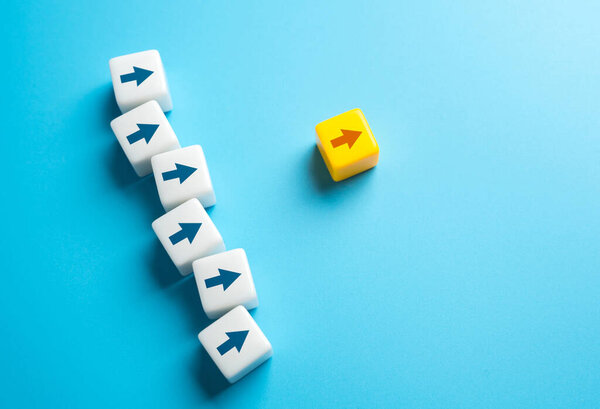 Follow the leader. Lead the way. Guiding principle. Effective communication, coordination. Work towards a collective vision. Promote ideology. Move forward.