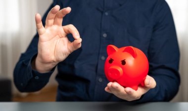 Yatırımcıları iyi iş konusunda kandırmak. Sahtekar mevduat ve tasarruf programlarının normalliğini ikna etmek. Kötü mali sağlık. Yüksek maliyetler. Tavsiye, bütçe aranıyor