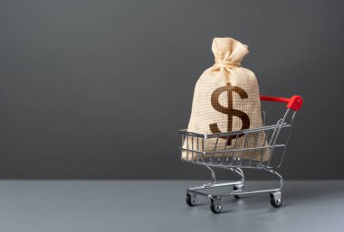 Büyük para çantalı alışveriş arabası. Ekstra gelir. Alışveriş için para kazan. Alıcıların satın alma gücü. Ticaret ve perakende. Vergiler. Tüketici fiyatları. Ürün akışı.