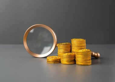 Büyüteç ve para yığını. Finansman ve yatırım fırsatları arayışı. Tasarruf ve mevduat. Borç veriyorum. Ekonomi. Para politikası, faiz oranları.