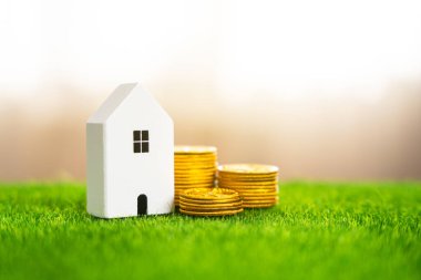 Ev ve yığınla altın para. Ev faturalarını biriktirip tasarruf ediyorum. Ev bakımı. Kirala ya da al.