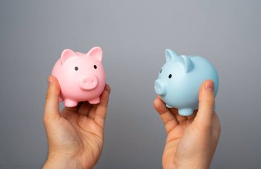 Mavi ve pembe kumbaralar ellerinde. Ortakların veya eşlerin ihtiyaçları ve gelirleri ile ilgili farklı bütçe kavramları. Tüketici cinsiyet kalıpları. Bütçeyi ayır.