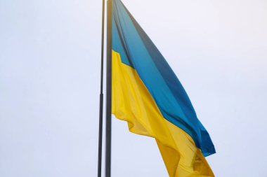 Ukrayna bayrağı, mavi gökyüzünde dalgalanan ulusal sembol. Büyük sarı Ukrayna bayrağı