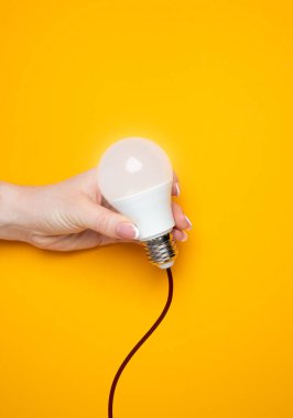 El, ampul fikrini kabloyla tutuyor. Çekilmek üzere olan bir çiçek gibi tatlı bir metafor. Kırılgan bir çiçek. Romantik hassasiyet, hassas duygular, ya da sevgi dolu bir ilişki.