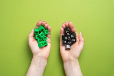 Karbondioksit küpleri ve oksijeni geri getiren ormanlar ellerinde. Doğaya verilen zararın telafisi. Karbon dengeleme, yeniden ağaçlandırma programları ve doğa koruma. Ekolojik denge, sürdürülebilirlik