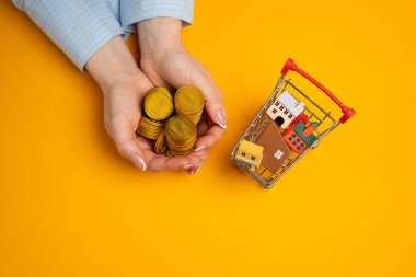 Yeni konut satın alma ve emlak yatırımları kavramı. Dairelerin kirası ve ipoteği. Uygun fiyatlı konutlar. Bir kadının elinde para ve evler olan süpermarket arabası.